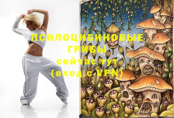 мет Абинск
