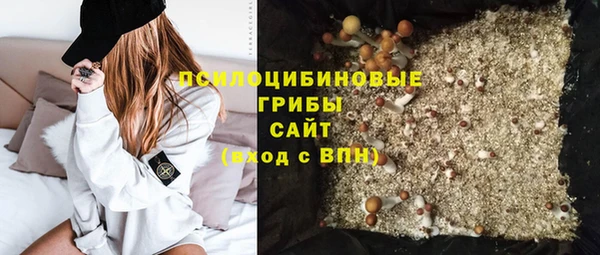 СК Абаза